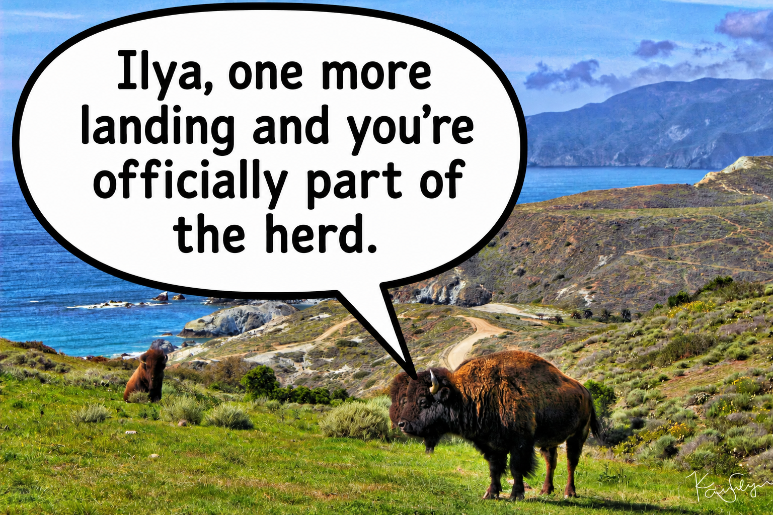 A Catalina Island bison has a message for Captain Ilya TS